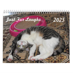 Just Fur Laughs Kalender