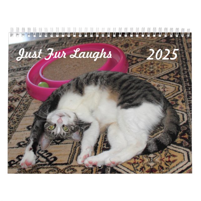 Just Fur Laughs Kalender (Titelbild)