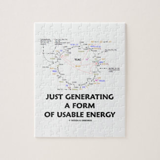 Just Generating A Form of Usable Energy Puzzle