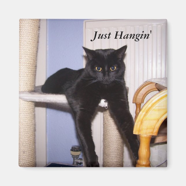 Just Hangin' Magnet (Vorne)