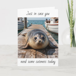 Just in Case You Need some Cuteness Today | Seal Karte