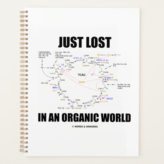 Just Lost In An Organic World Krebs Cycle Humor Planer (Vorderseite)