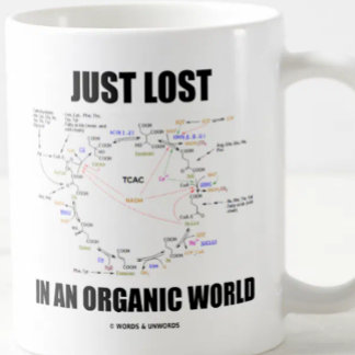 Just Lost In An Organic World Krebs Zyklus Humor Tasse