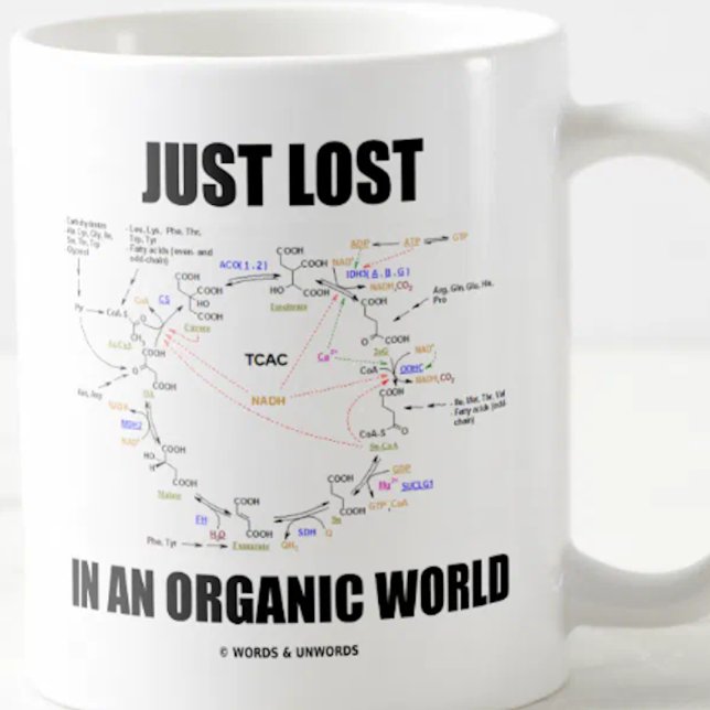 Just Lost In An Organic World Krebs Zyklus Humor Tasse (Scientific saying mug featuring the Krebs cycle for anyone who is "Just Lost In An Organic World".)