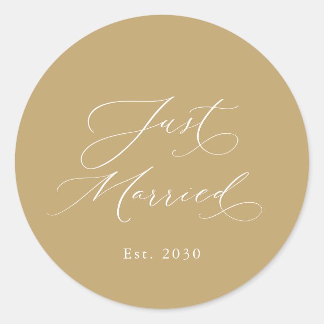 Just Married Wedding Sticker (Vorderseite)