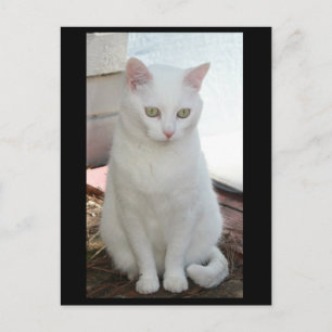 Just Missy Postkarte