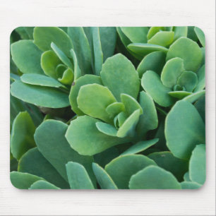 Just Sedum Mousepad