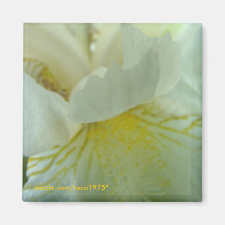 juste de tout magnet