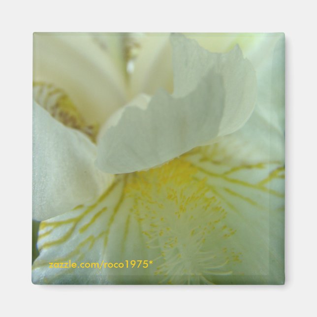 juste de tout magnet (Vorne)