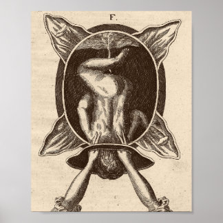 Justine Siegemund Court Midfrau Birth Illustration Poster