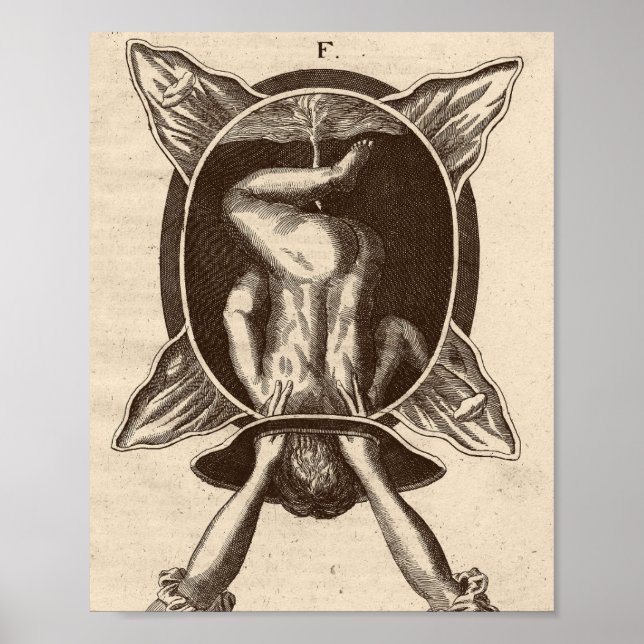 Justine Siegemund Court Midfrau Birth Illustration Poster (Vorne)