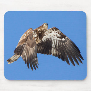 Juvenile Bald Adler im Flug Mousepad