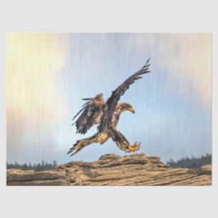 Juvenile Bald Eagle praktiziert seine Landefähigke Seidenpapier
