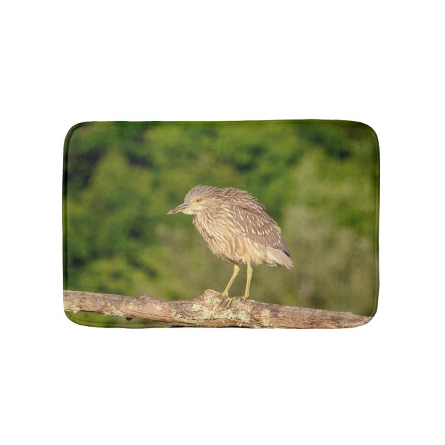 Juvenile Black Crowned Night Heron Badematte (Vorderseite)
