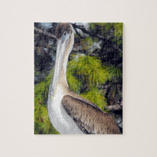 Juvenile Brown Pelican Puzzle