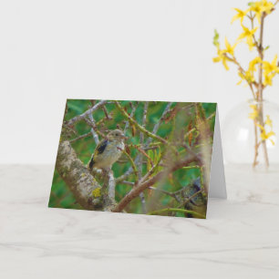 Juvenile Goldfinch - Almond Tree Card Karte