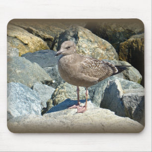Juvenile Great Black Backed Gull Mousepad