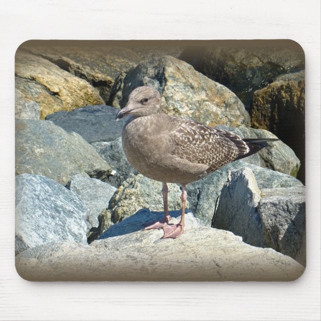 Juvenile Great Black Backed Gull Mousepad (Vorne)