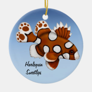 Juvenile Harlequin Sweetlips Reef Fisch Ornament