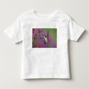 Juvenile männlich Ruby Throated Hummingbird Kleinkind T-shirt