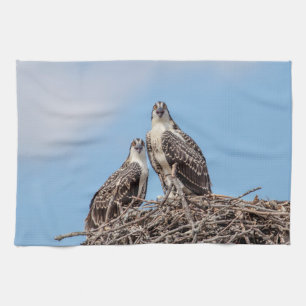 Juvenile Osprey im Nest Handtuch