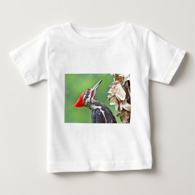 Juvenile Pileated Woodpecker Profile Geschenke App Baby T-shirt (Vorderseite)
