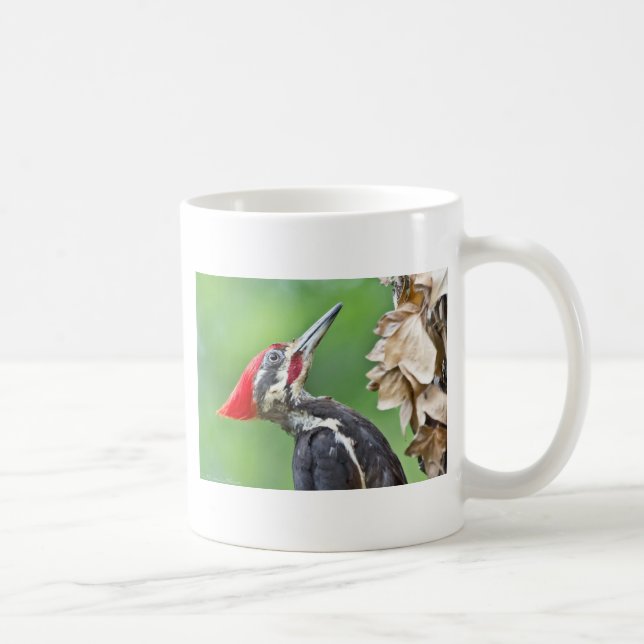 Juvenile Pileated Woodpecker Profile Geschenke App Kaffeetasse (Rechts)