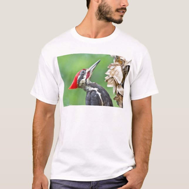 Juvenile Pileated Woodpecker Profile Geschenke App T-Shirt (Vorderseite)