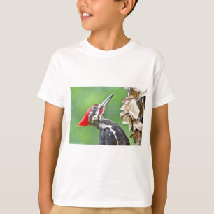 Juvenile Pileated Woodpecker Profile Geschenke App T-Shirt