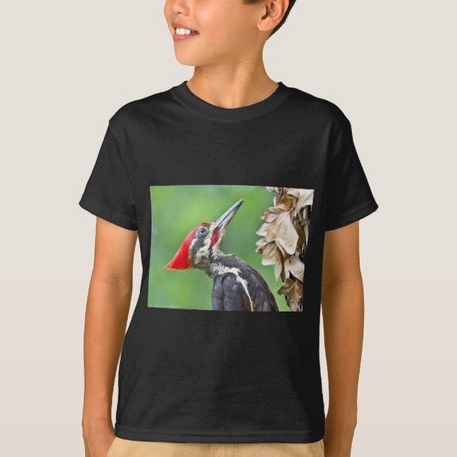 Juvenile Pileated Woodpecker Profile Geschenke App T-Shirt (Vorderseite)