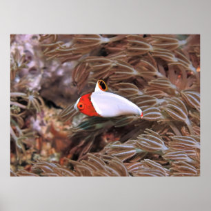 Juvenile Poster