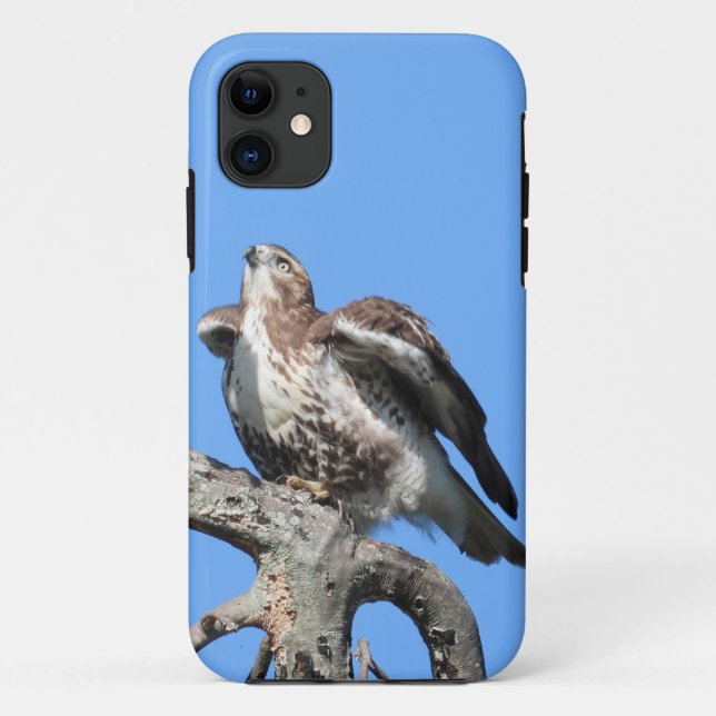 Juvenile Red Schwanz Hawk Case-Mate iPhone Hülle (Rückseite)