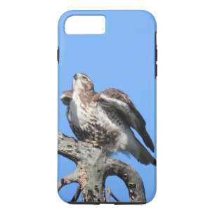 Juvenile Red Schwanz Hawk Case-Mate iPhone Hülle