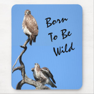 Juvenile Red Tail Hawk Composite Mousepad