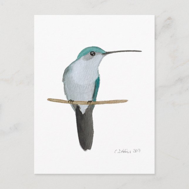 Juvenile Ruby-throated Hummingbird Postkarte (Vorderseite)