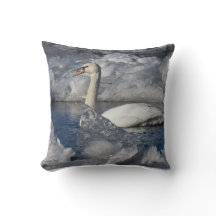 Juvenile Swan im Fluss Icey