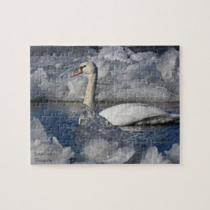 Juvenile Swan in Icey River Puzzle