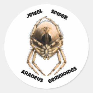 Juwel-Spinnen-Aufkleber Runder Aufkleber