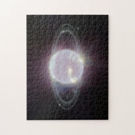 JWST Rings of Planet Neptune Puzzle