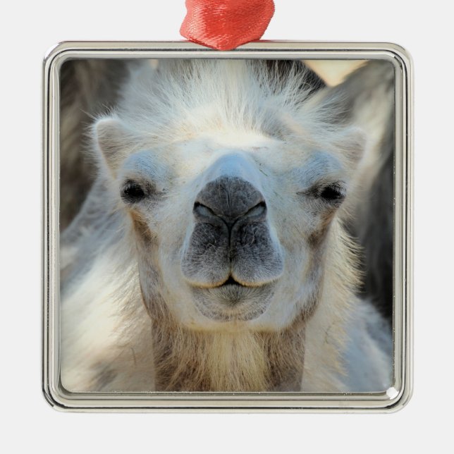 K2 Keramik Ornament Aus Metall (Vorne)