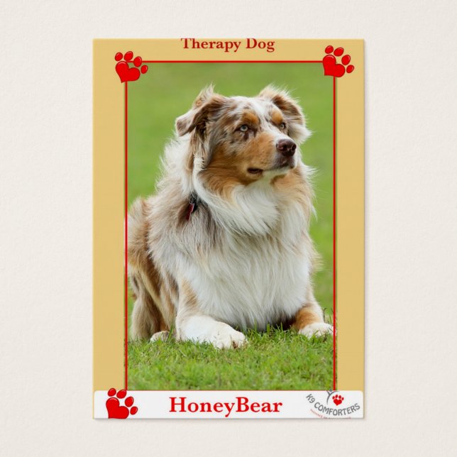 K9 Therapiehund (Vorderseite)