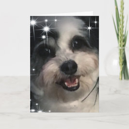 K-Cee Stars Vielen Dank Karte