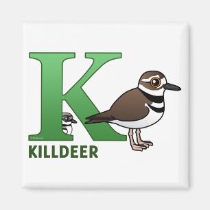 K ist für Killdeer Magnet