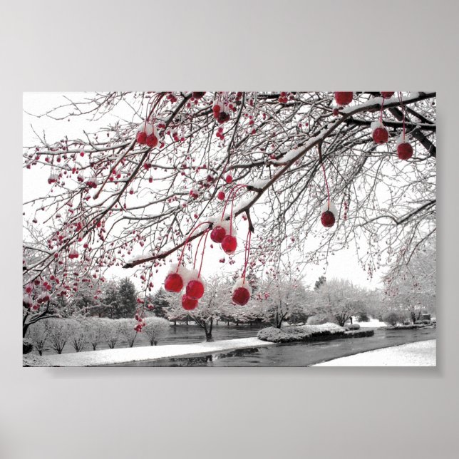 K&K Winter Berry Poster (Vorne)