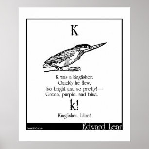 K war ein Eisvogel Poster