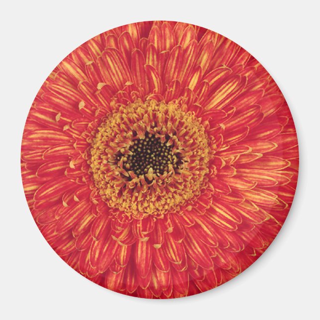 KA-Bloom! Magnet (Vorne)