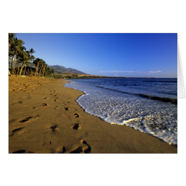 Kaanapali beach, Maui, Hawaii, USA (Vorderseite (Horizontal))