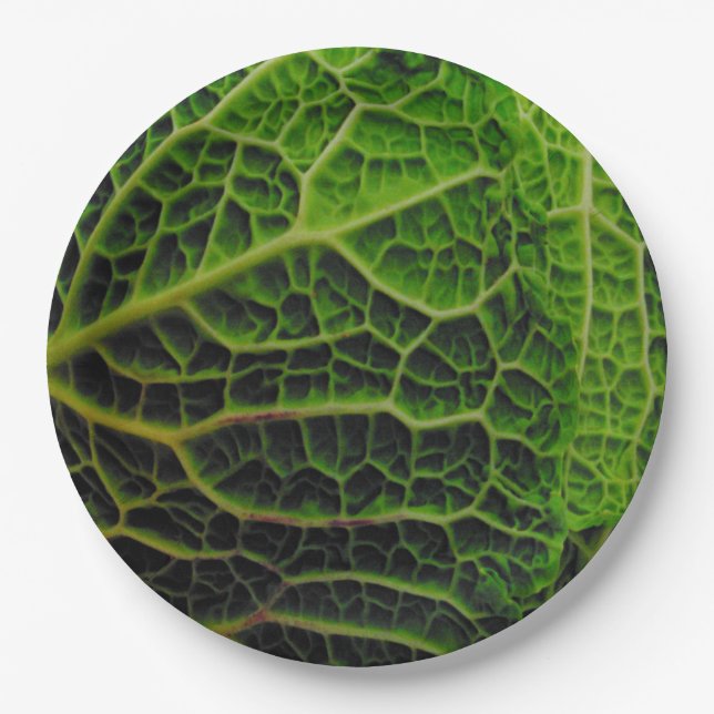 KABBAGE PAPPTELLER (Vorderseite)