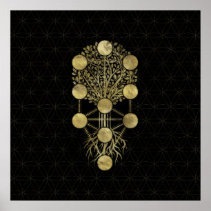 Kabbalah The Tree of Life Gold on Black Poster