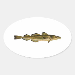 Kabeljau Ovaler Aufkleber
